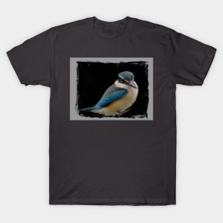 Sacred kingfisher T-Shirt